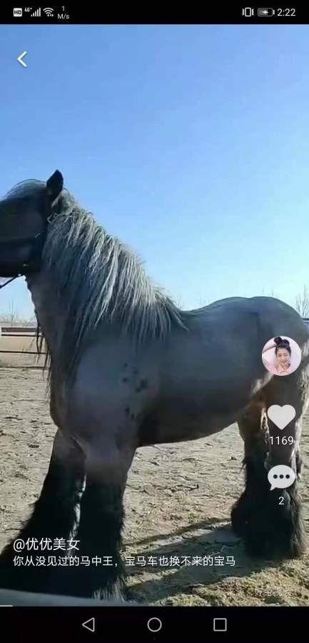 刮马视频在线观看国产,刮马视频，带你领略国产魅力  第3张