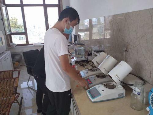 国产粮食增多器视频,创新科技助力粮食增产新篇章  第1张