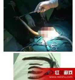 黄鳝门高清视频国产  第3张